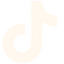 TikTok icon